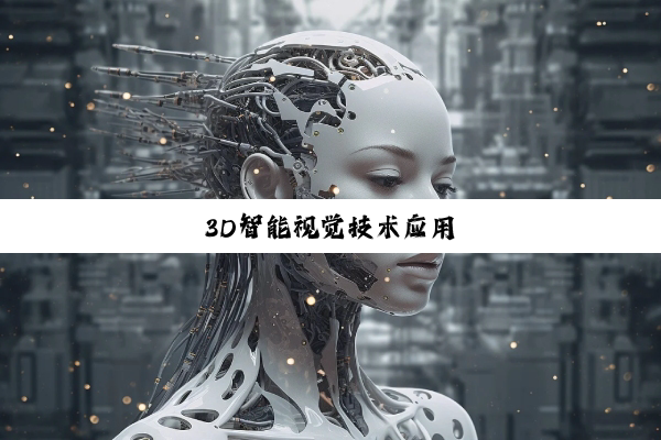 3D智能视觉技术应用